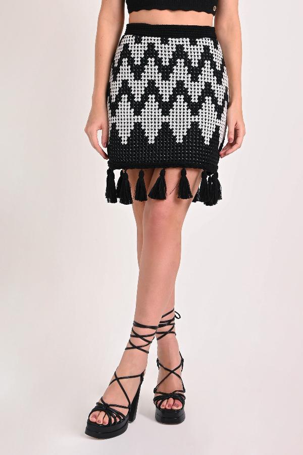 POLLERA CON FLECOS CS