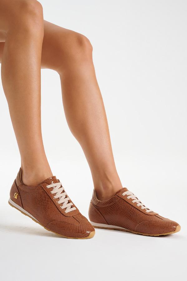 TENIS