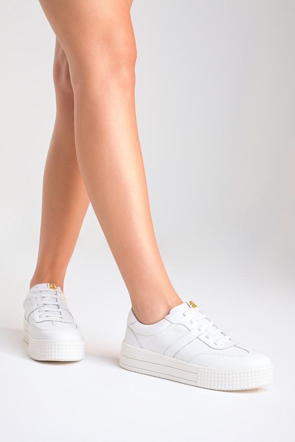 TENIS